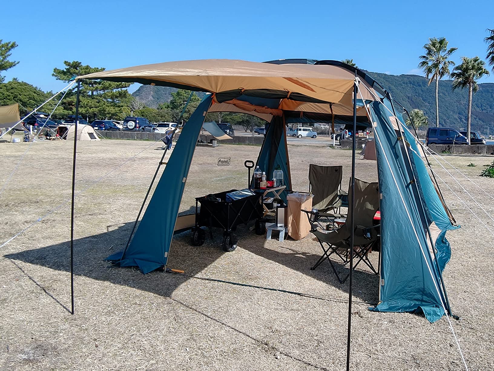 Coleman 2000027986 Screen Canopy Joint Tarp 3 Thailand | Ubuy