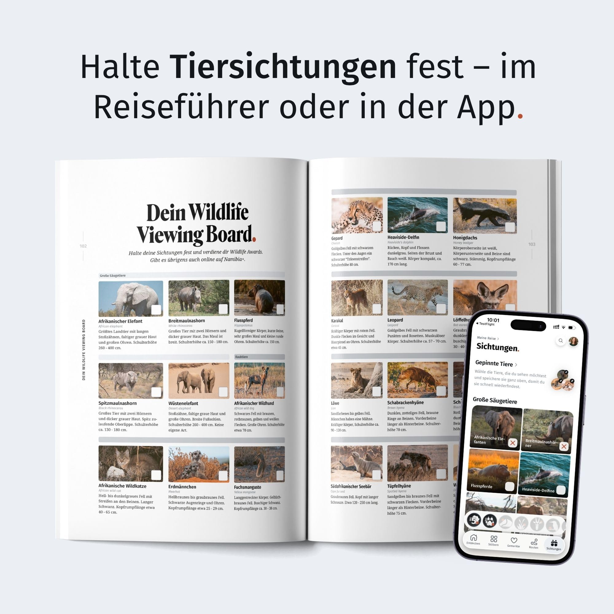WILDLIFE TOUR GUIDE Reiseführer Namibia: Dein ultimativer Roadtrip-Guide für unvergessliche Tierbeobachtungen als Selbstfahrer (inkl. Etosha-Karte und App)