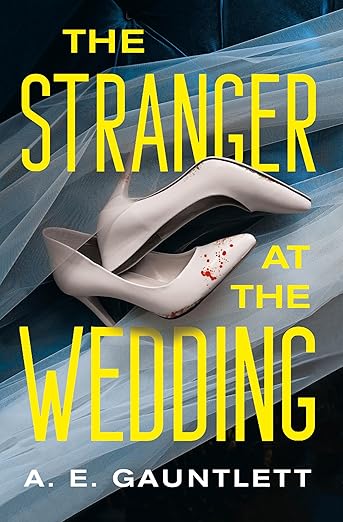 The Stranger at the Wedding: A Novel