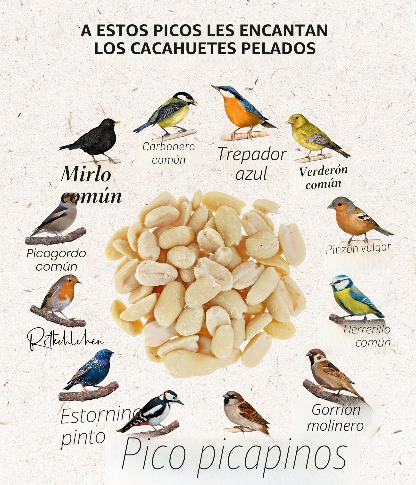 Dehner Natura Premium - Comida para Aves Silvestres (Cacahuetes Enteros, sin cáscara, para Todo el año, Rico en proteínas, Alta energía, 5 kg)