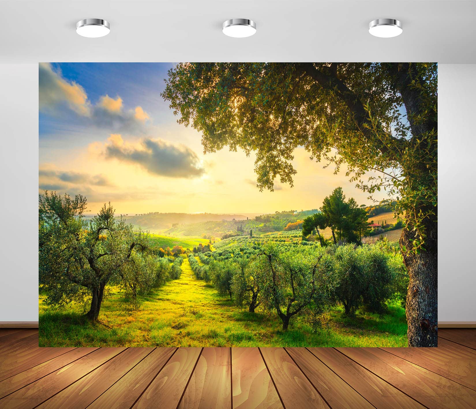 BELECO 6x4ft Fabric Countryside Olive Trees Backdrop for Photography Olive Groves Rolling Hills and Green Fields at Sunset Tuscany Italy Background
