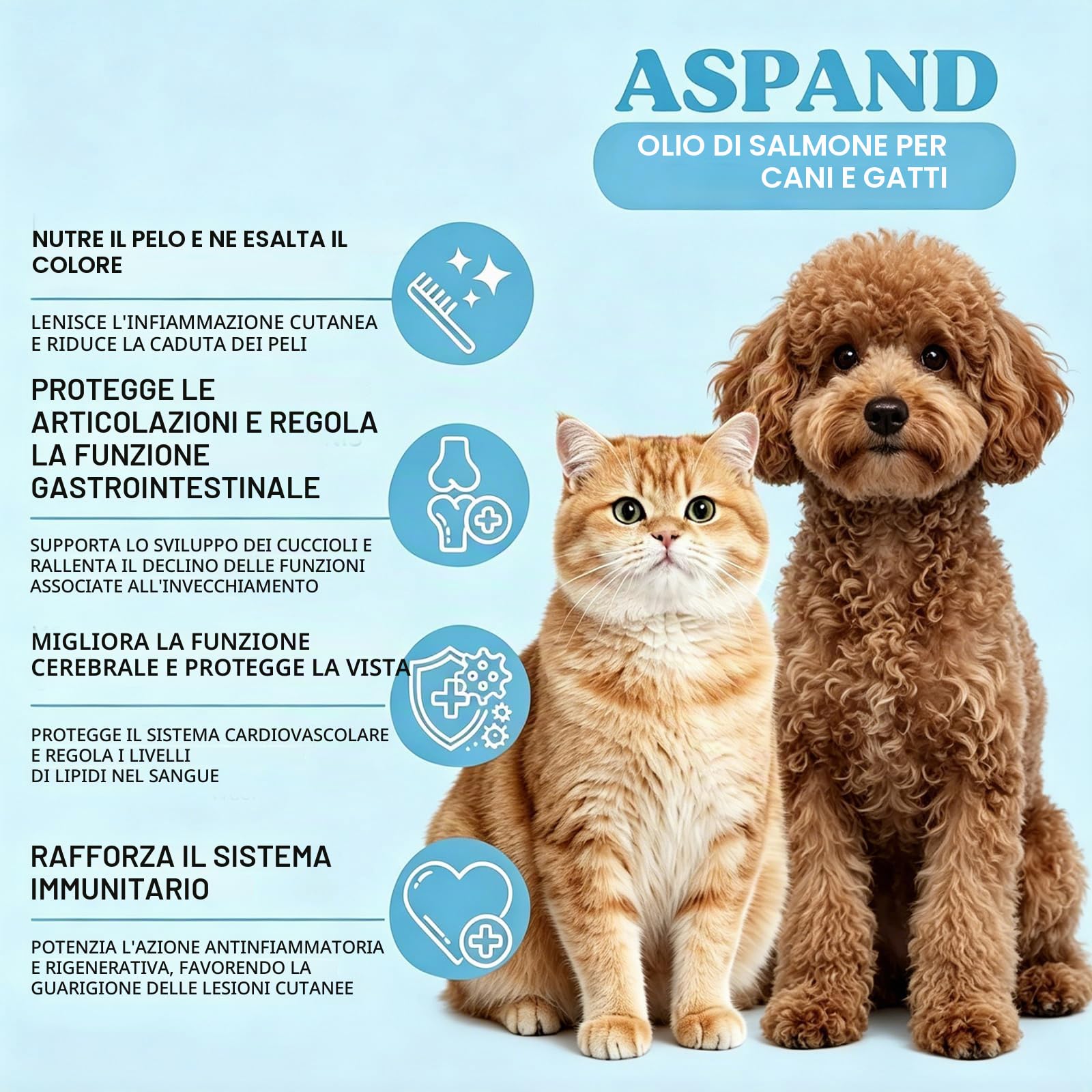 Aspand Olio di Salmone per Cani e Gatti, 100% Norvegese Pressato a Freddo per Articolazioni Fort, Pelle Sana e Rafforza il Sistema Immunitario, Arricchito con Omega 3, EPA, DHA, 250 ml