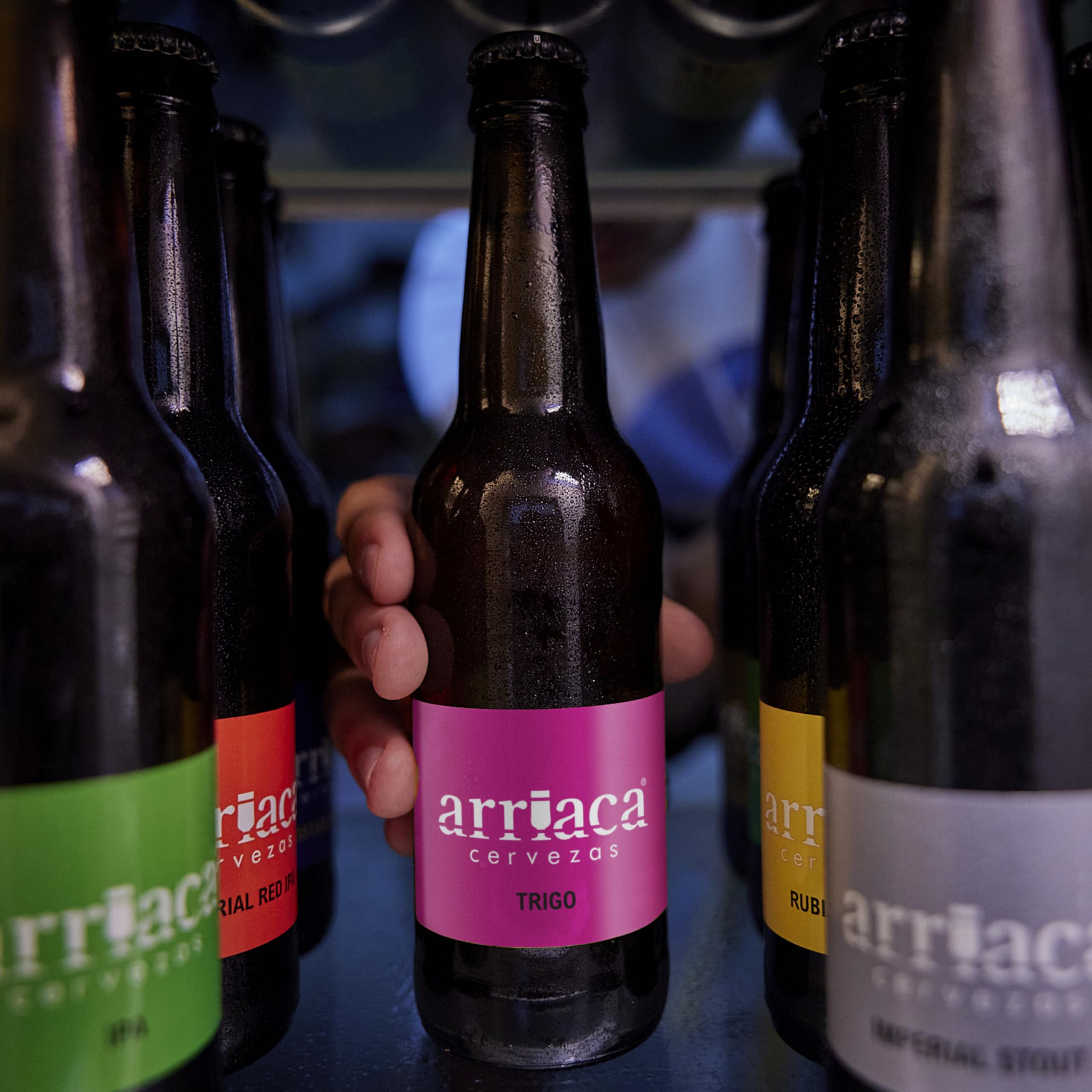 Cerveza Artesana Arriaca Estuche Pack Regalo Degustación 3x33cl (Caja de 8 estuches)