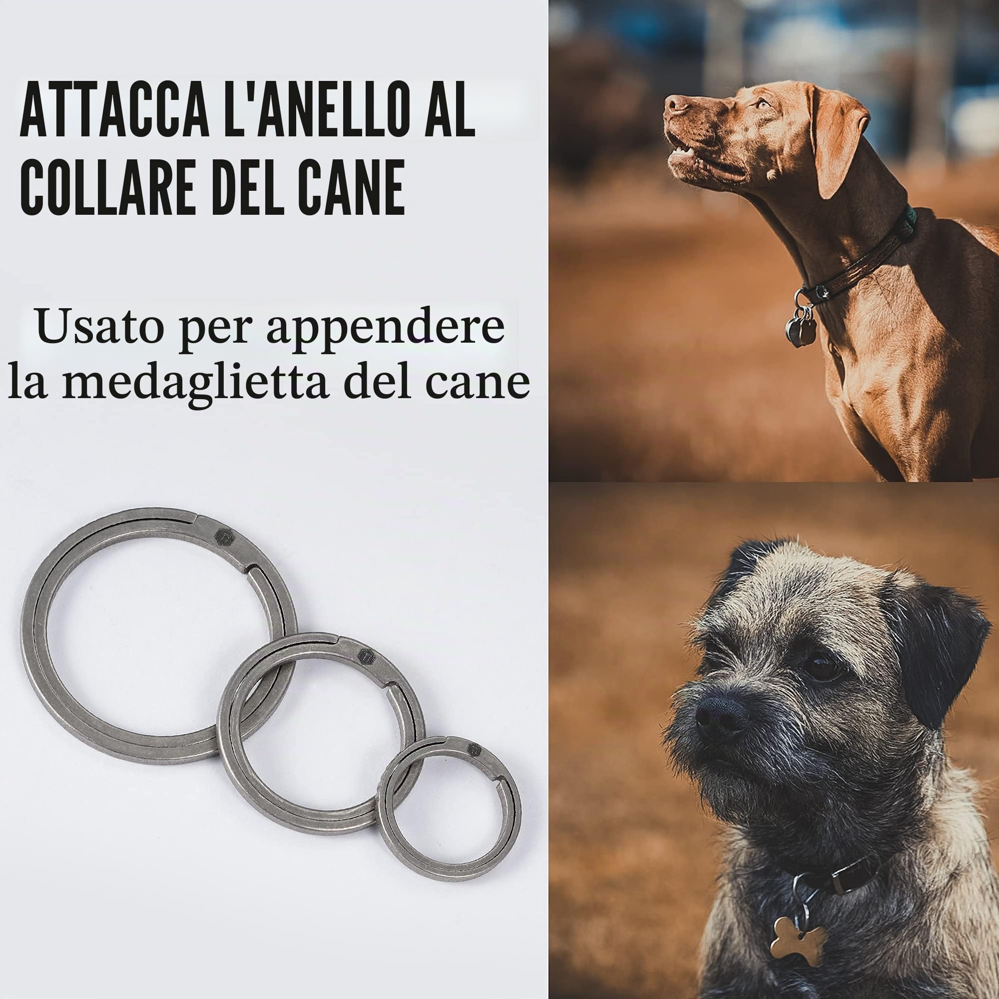 KeyUnity Anelli Portachiavi piatto in lega di titanio, anello diviso a spinta laterale Facile accesso a chiavi (Esistono molte varianti, il numero di portachiavi si basa sull'immagine principale)