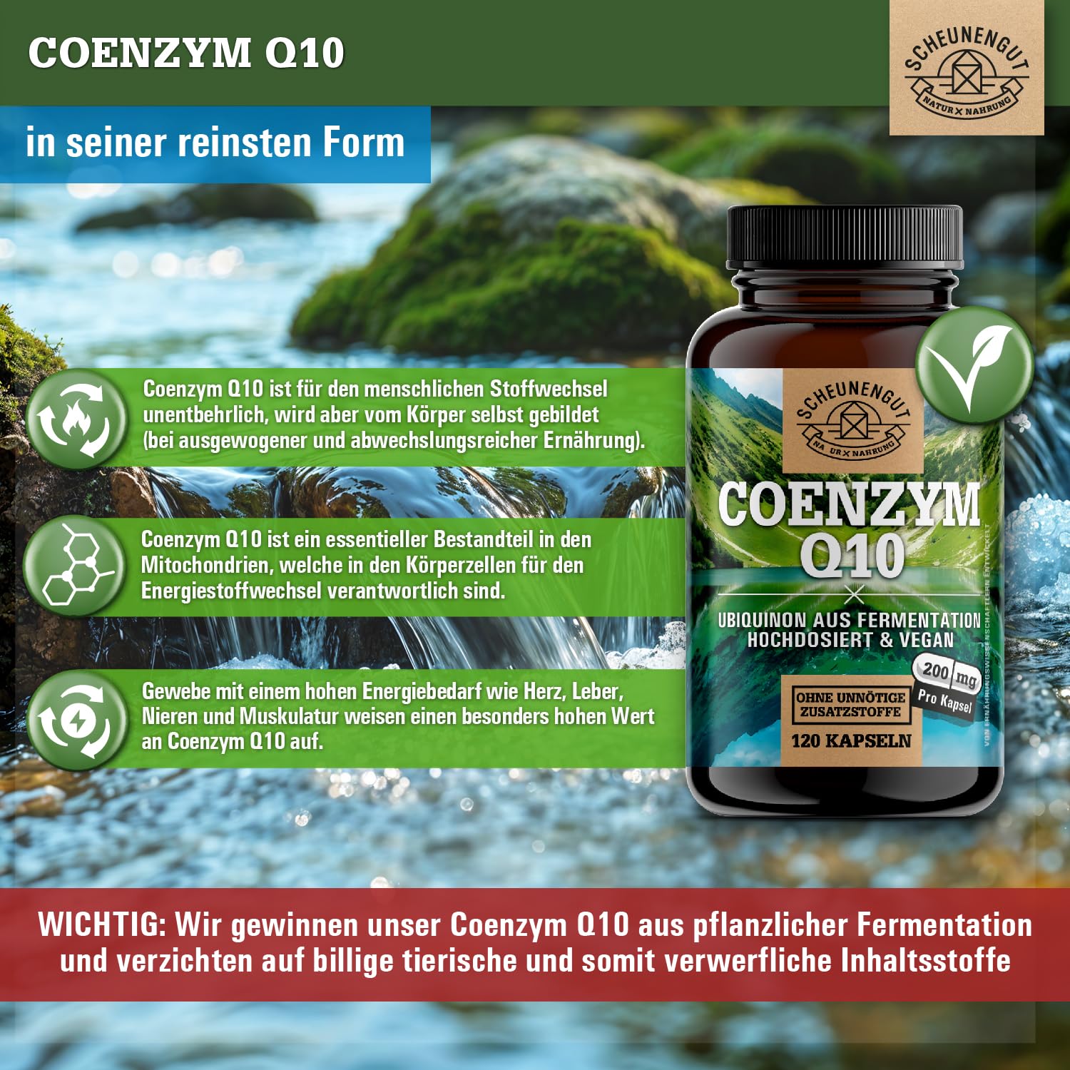 Q10 200mg je Kapsel - WICHTIG: Q10 Kapseln Hochdosiert mit bioaktivem Ubiquinon -Coenzym Q10 aus Deutschland- Laborgeprüft und Vegan 120Stk DE SCHEUNENGUT®