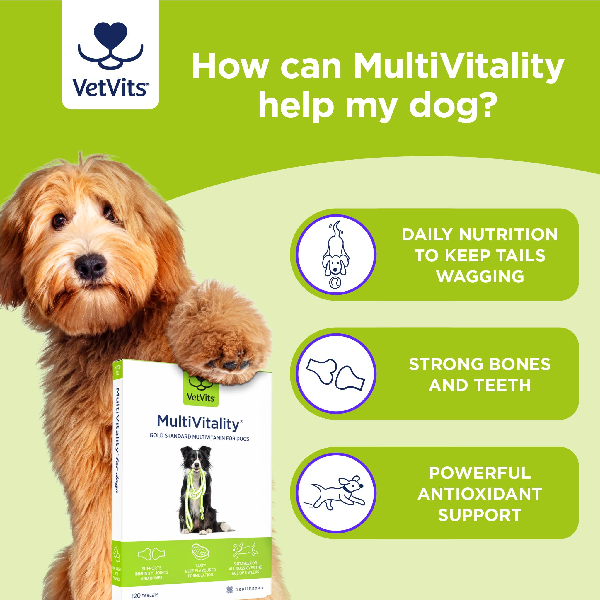 Vetvits Multivitamin for Dogs (120 Tablets) - Image 4