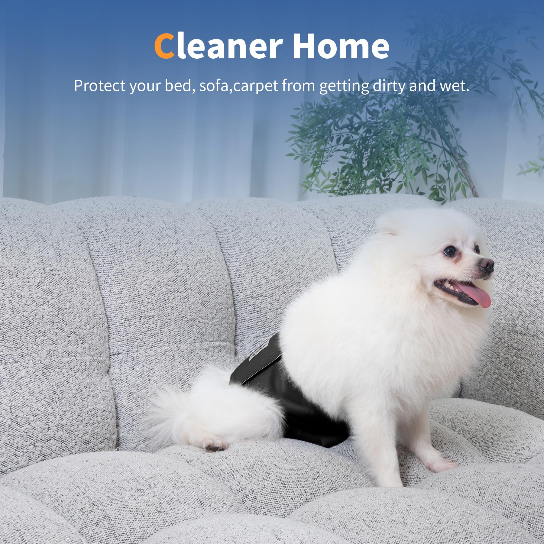 Vecomfy Bandas para el vientre para perros machos (paquete de 5), pañales para perros extragrandes, lavables, reutilizables, extragrandes, a prueba de fugas, XXL