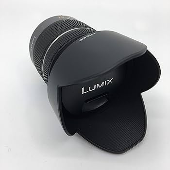 Amazon Canada: Panasonic Lumix Digital SLR Camera kit Lens