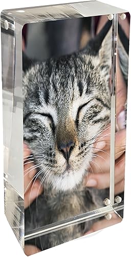 Miniatura 2 de Canetti Marco magnético original de 2 x 4 pulgadas, marco de fotos magnético, marco de fotos flotante, dos paneles acrílicos dorados