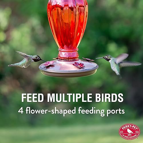 Miniatura 2 de Vasija clásica de vidrio alimentadora de colibríes Perky Pet Daisy  Rojo