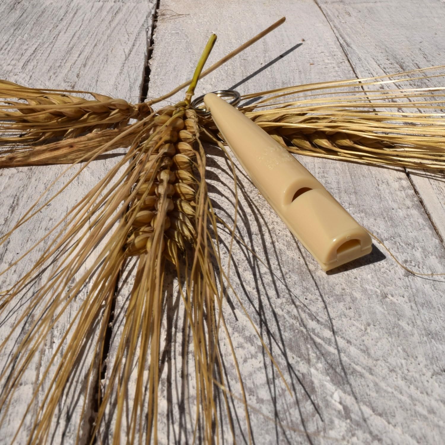 ACME Fischietto Per Cani N. 211.5 - Addestramento Con Frequenza Standard - Foto 9