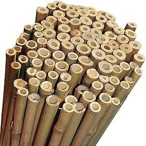 Canne Di Bambù Naturali - Per Orto, Sostegno Piante E Decorazione, Altezze Diverse - Foto 4