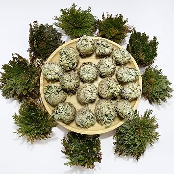 11 Pack Rose of Jericho Resurrection Plants, 12 Inch Rosa de Jerico Original, Unfolds in Water, Dried Fern Prayer Plants for Spiritual Purification, Home Decor , Gift for Plant Lovers