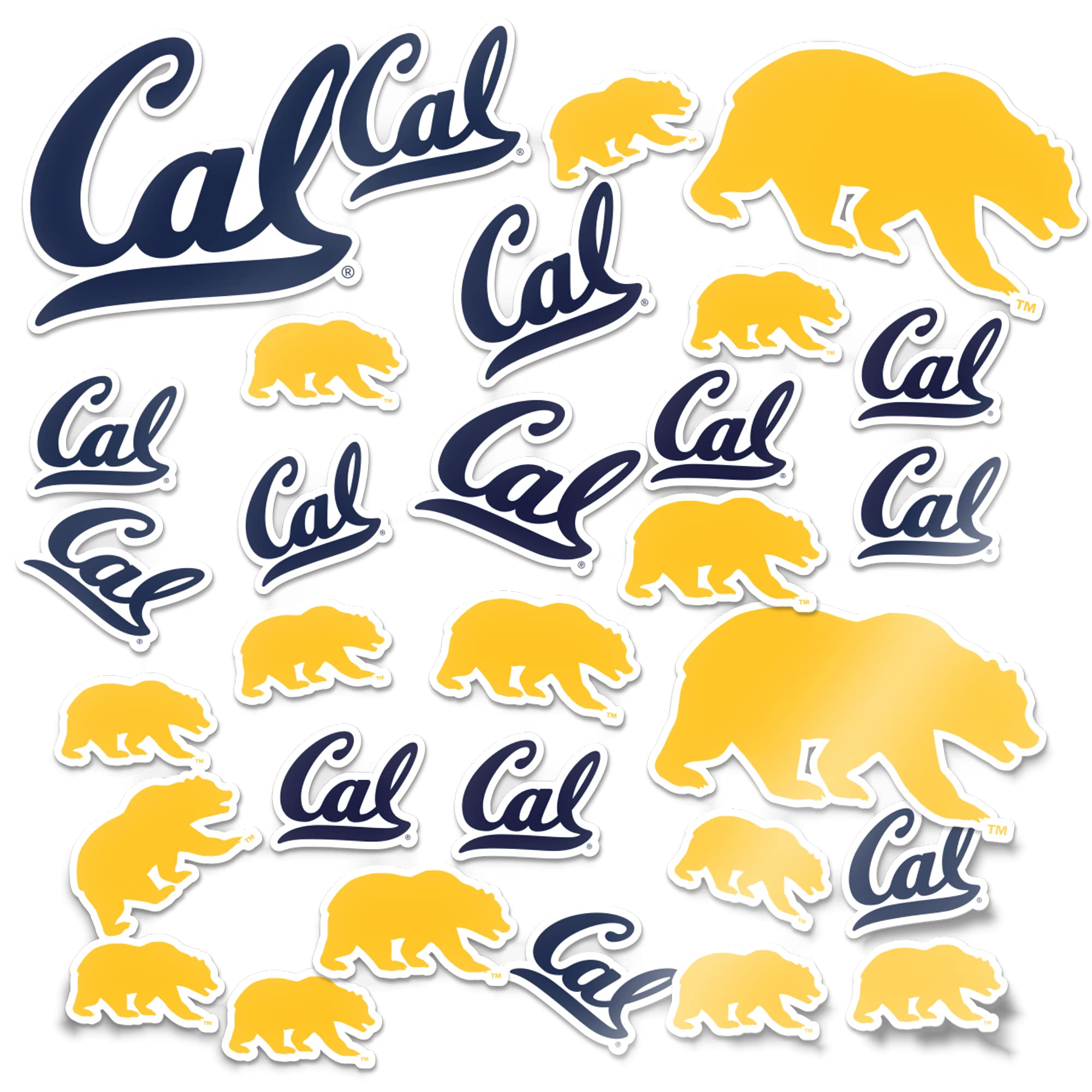 Desert CactusDesert Cactus Berkeley University of California Sticker Vinyl Decal Laptop Water Bottle Car Scrapbook (Type 1-1 Sheet)