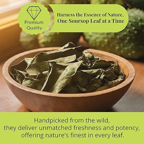 Miniatura 2 de Akshit Hojas secas de guanábana, más de 200 hojas de graviola, té de hoja de guanábana natural entera, hojas de guanábana, hoja de guanábana, té de