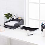 Amazon Basics Plastic Organizer - Half Accessory Tray, Black