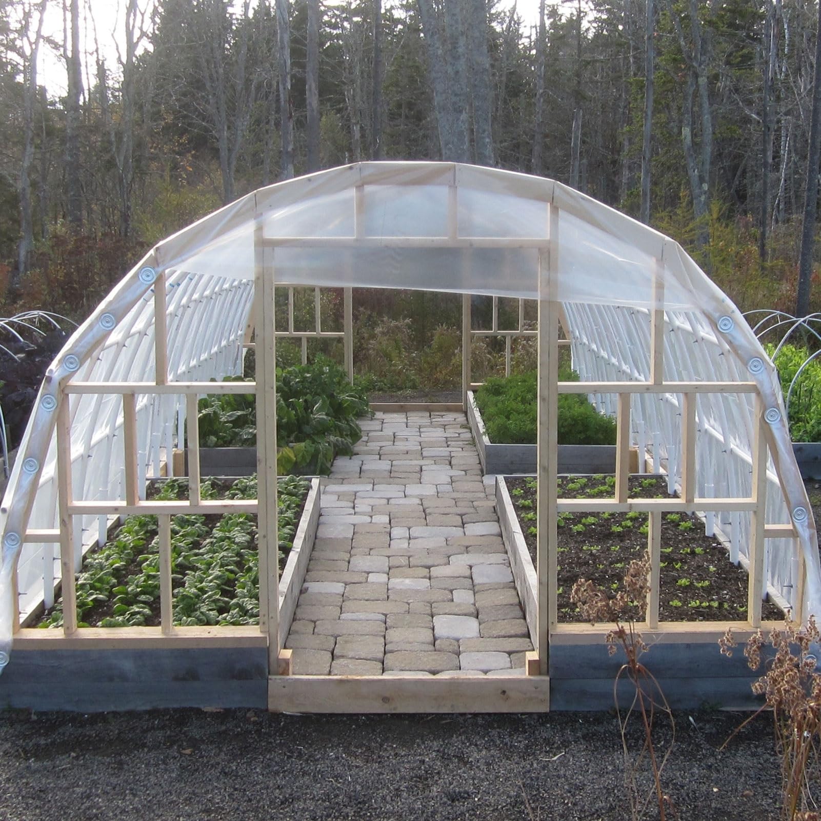 Produktbild von Transparente Gewächshausplane – UV-stabil, Wasserdicht, Mit Ösen (2x2 / 2x3 / 2x4 M)