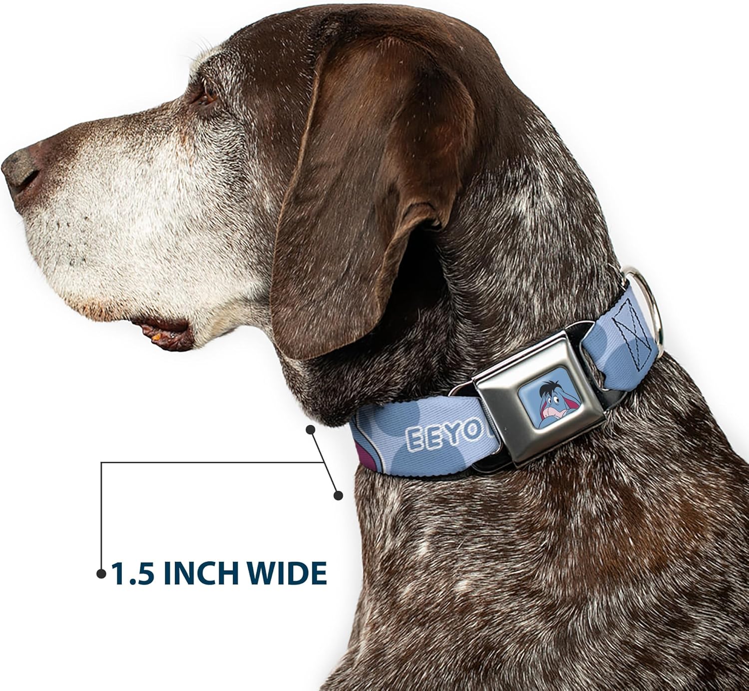 Disney Pet Collar, Dog Collar Metal Seatbelt Buckle, Winnie The Pooh Eeyore Text and Expression Close Up Dot Blues, 16 to 23 Inches 1.5 Inch Wide