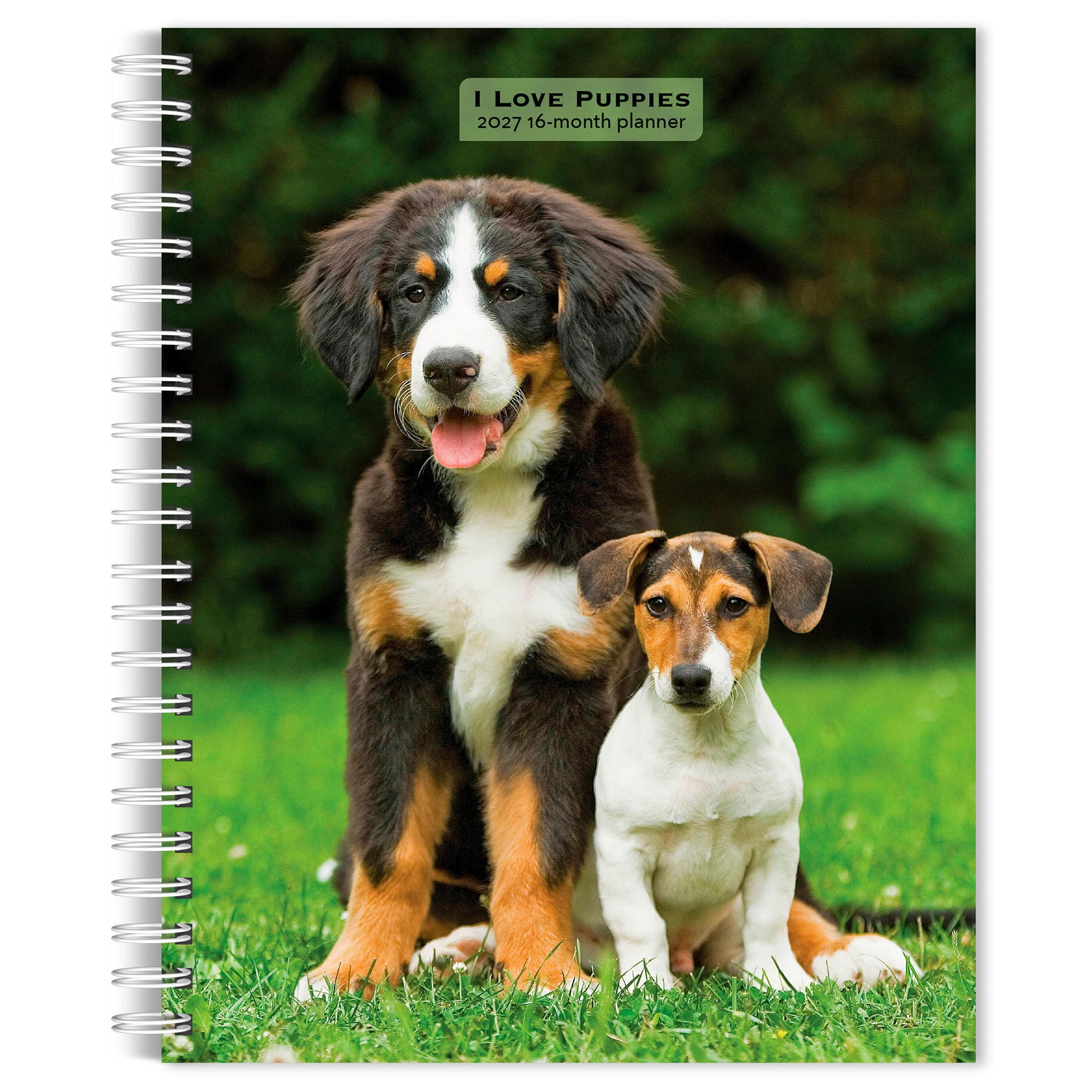 I Love Puppies | 2027 6 x 7.75 Inch Spiral-Bound Wire-O Weekly Engagement Planne