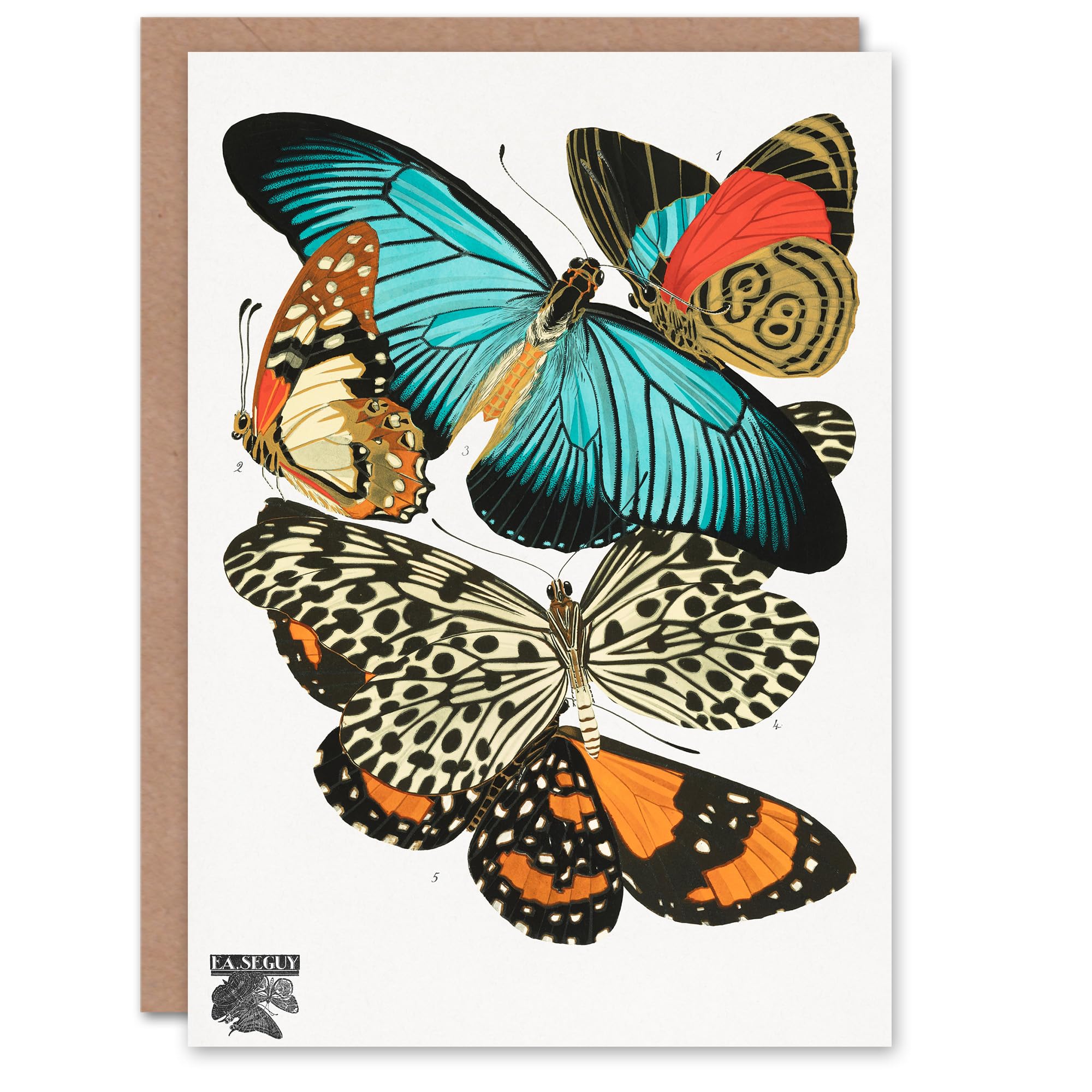Artery8 Eugene Seguy Art Card Vintage Butterflies Blue and Orange