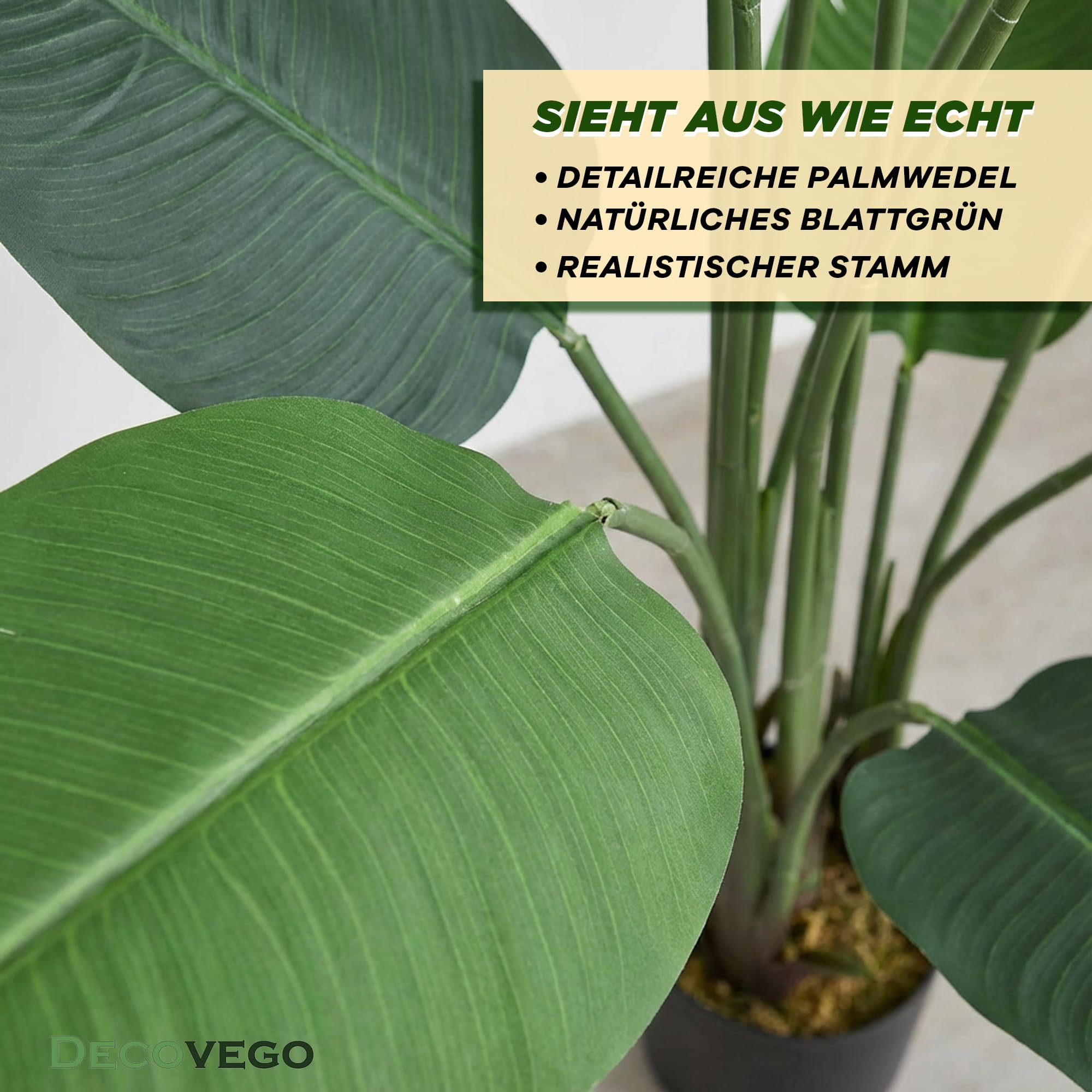 monstera wciornastek Monstera Ocean Mint main image 0