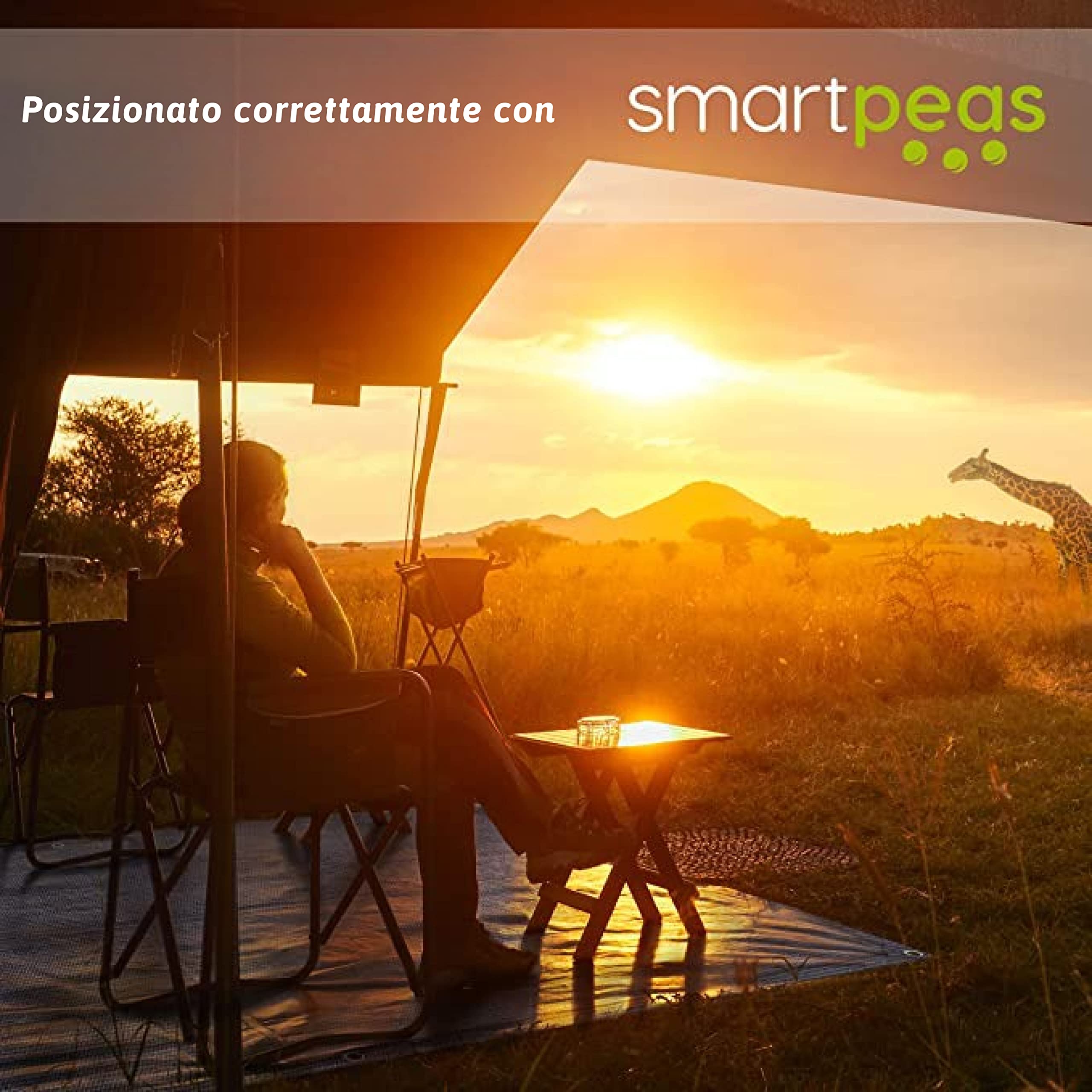 smartpeas Tappeto Da Campeggio 300X600Cm - Blu/Grigio - Altamente Robusto E Lavabile (Hdpe) + Inclusi: 8 Picchetti