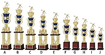 Amazon | WIN 優勝トロフィー 【空手】 JB-2316I | WIN