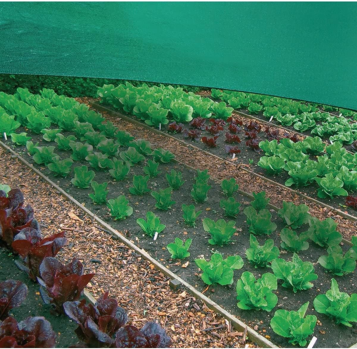 Coolaroo 30% UV Block Garden Shade Cloth for Plants - Tear-Resistant Breathable Shade Fabric for Greenhouses, Seedlings & Early Growth, 6ftx15ft Roll, Rainforest