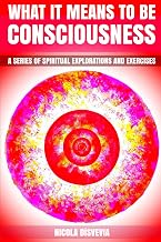 What It Means to Be Consciousness: A Series of Spiritual Explorations and Exercises