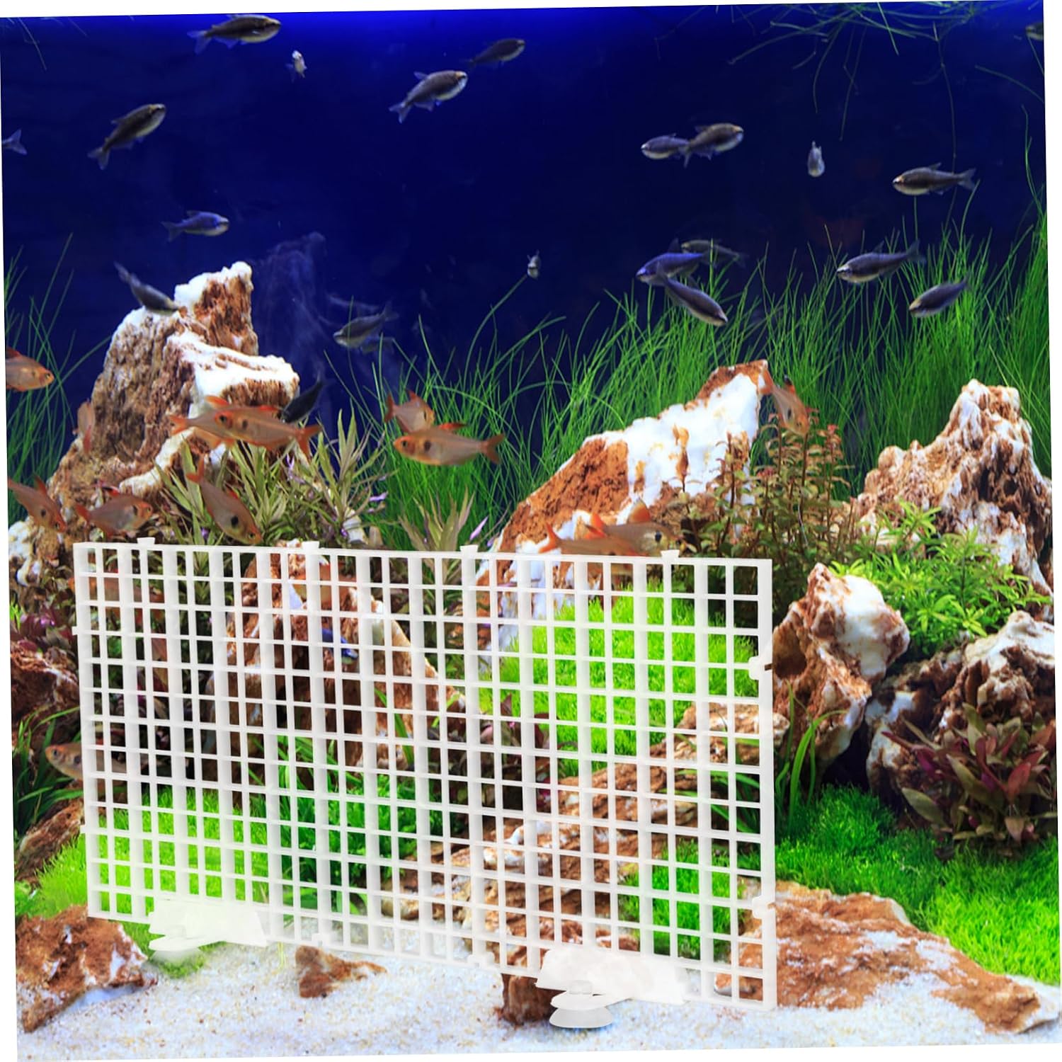 BESTonZON 1Set Aquarium Isolation Plate Semi Transparent Divider for Fish Tank Grid Design Durable Easy to Install Aquarium Accessories Includes Suction Cups