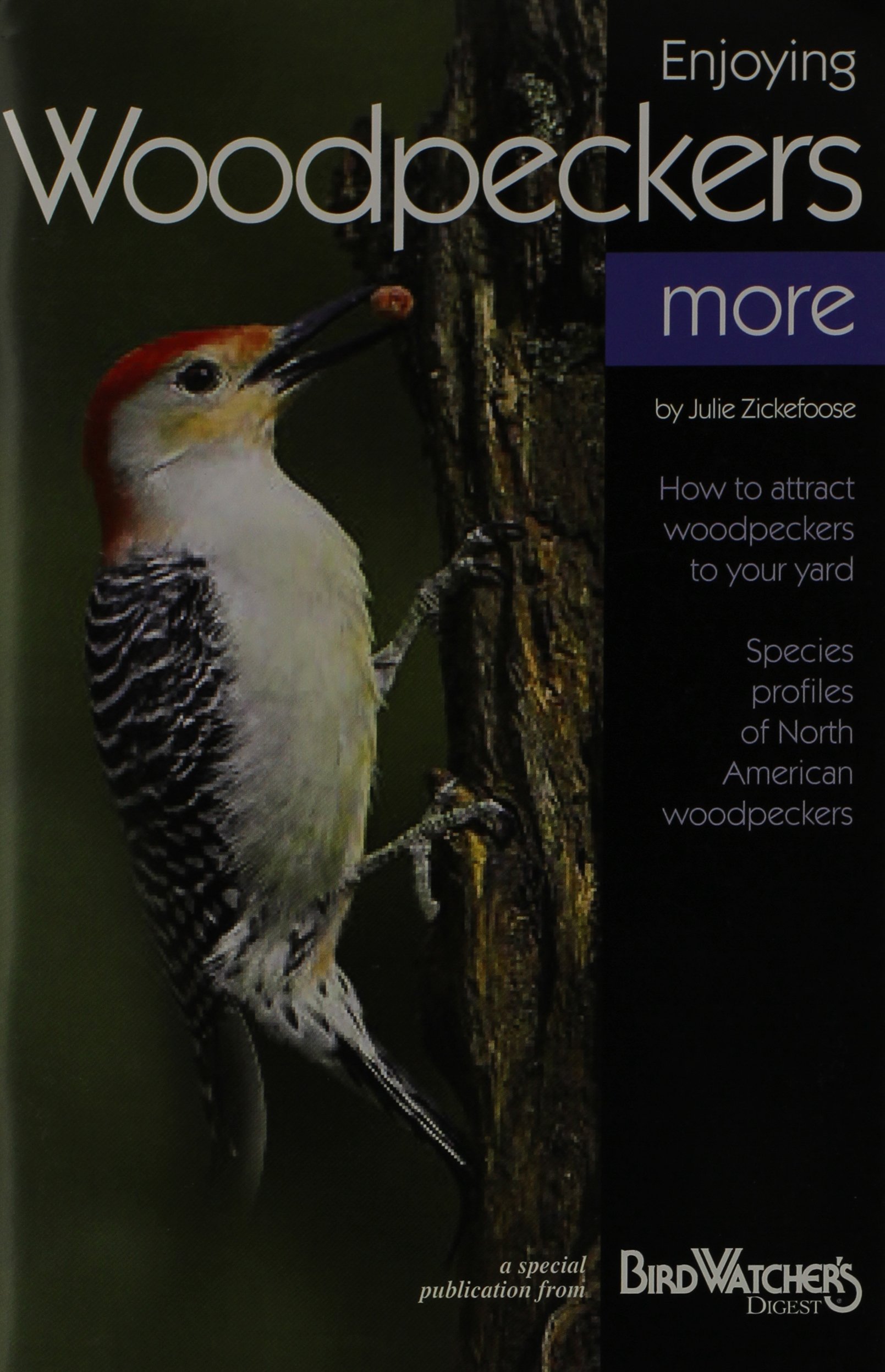 Enjoying Woodpeckers More