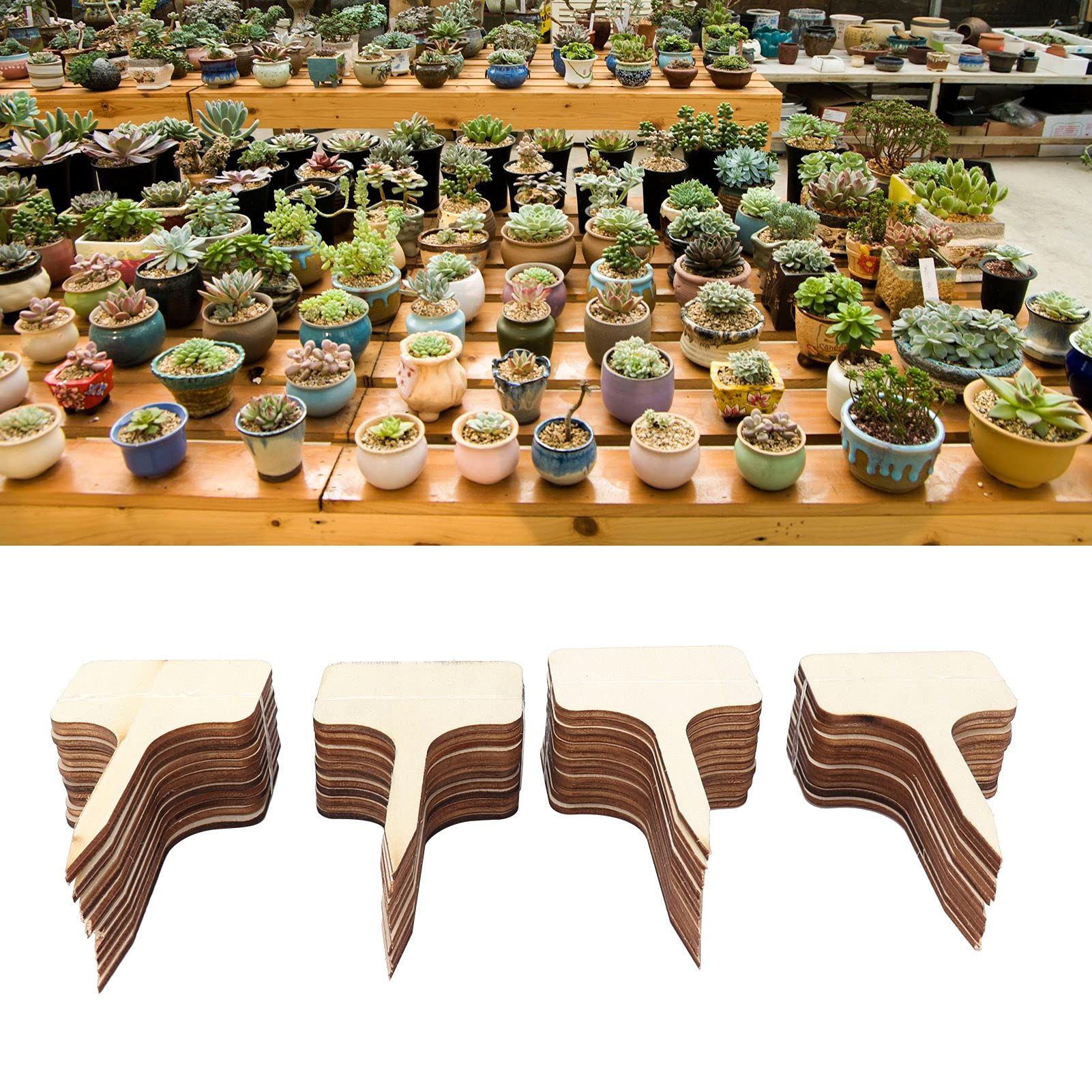 50 étiquettes Pour Plantes En Bambou - 178x59 Mm, Surface Lisse Pour écrire, Jardinage Et Semis - 3