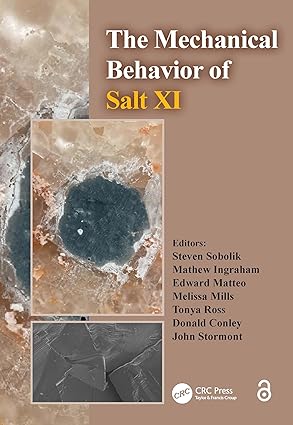 The Mechanical Behavior of Salt XI book cover