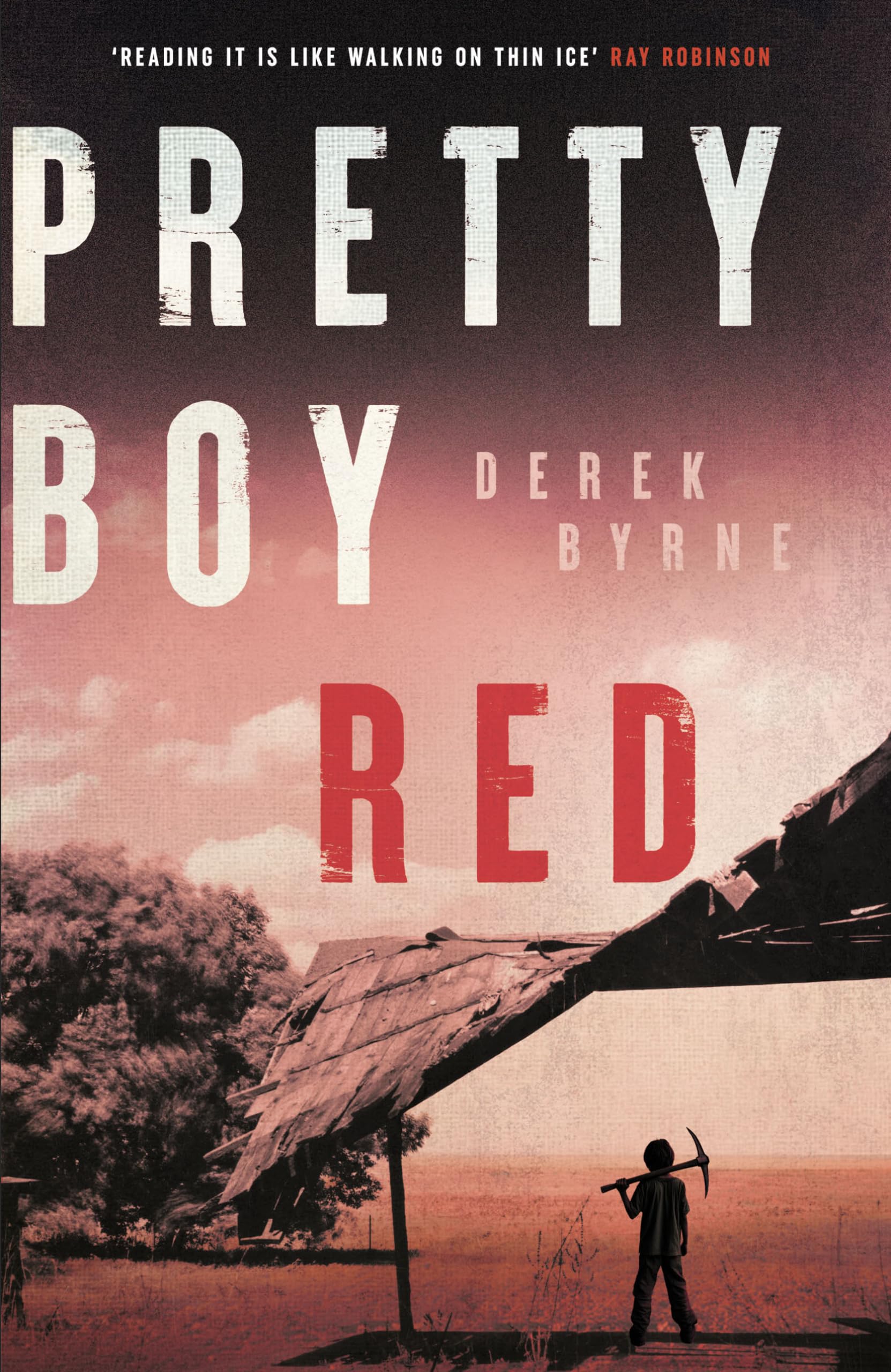 Pretty Boy Red: A haunting literary crime novel about memory, guilt and the search for justice