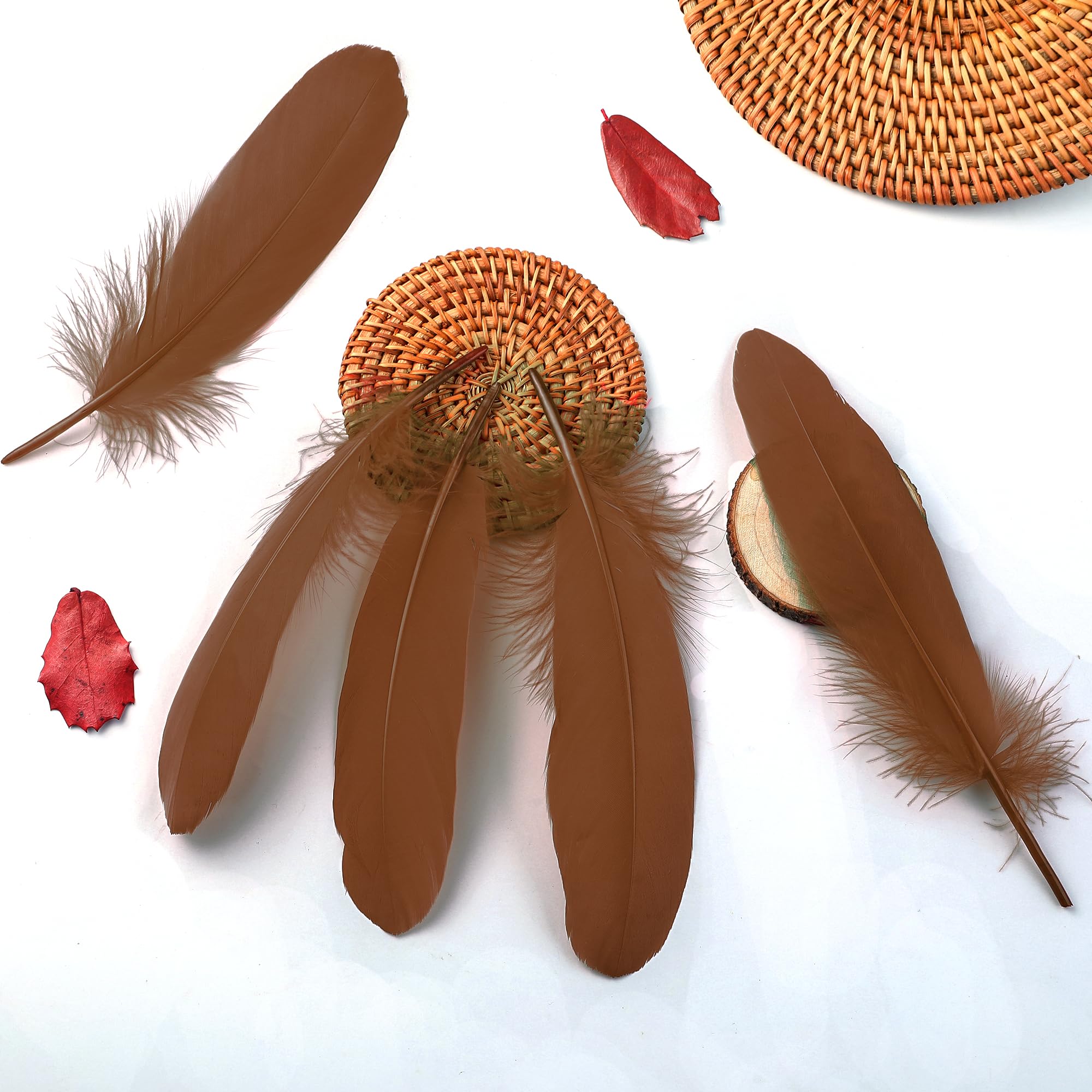 Amazon.com: Ballinger Brown Craft Feathers Bulk - 120Pcs 6-8inch