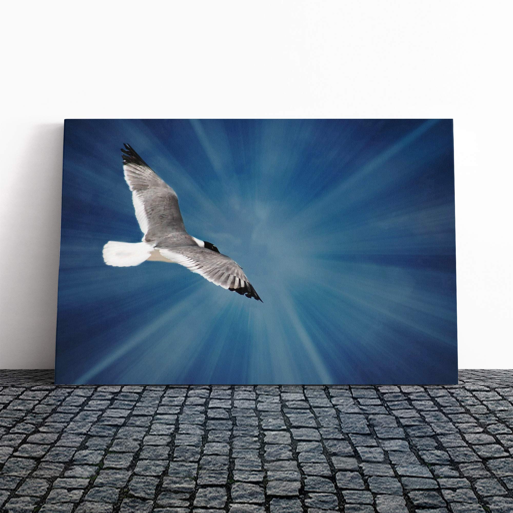 Seagull Bird (2) Canvas Print | Gallery Wrapped 30mm Frame Wall Art | 30x20 inches | Ready to Hang | Modern Animals Picture | Living Room Bedroom Lounge Office