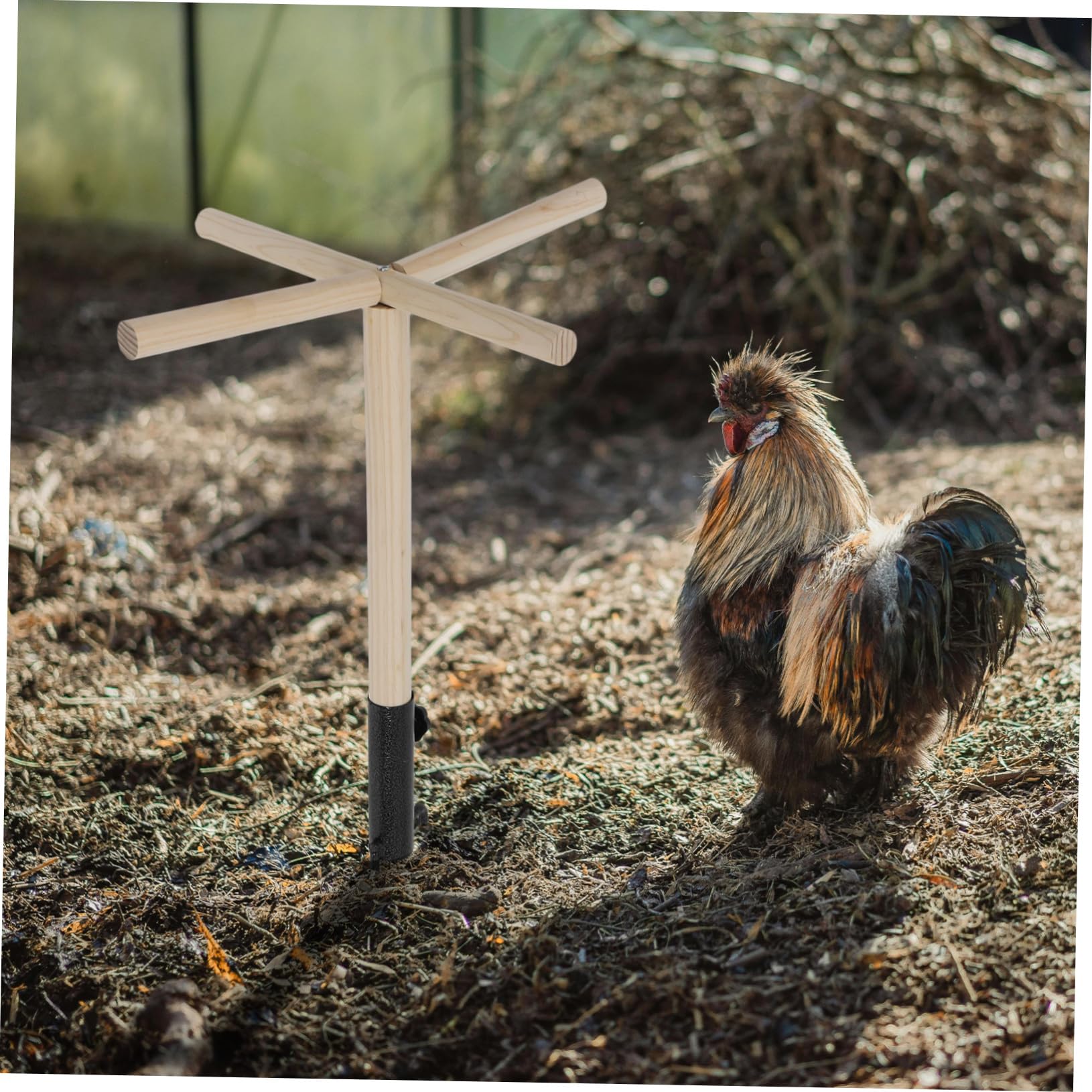 Holz Vogelsitzstange mit Spielzeug, Sitzstange für Vögel