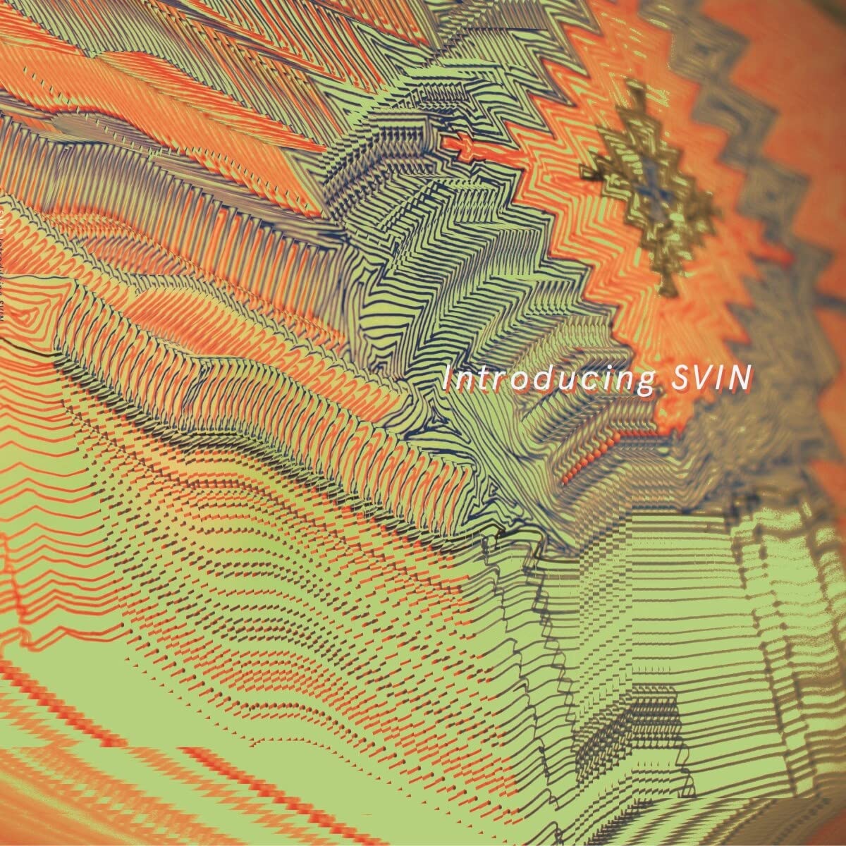 Introducing Svin [VINYL]