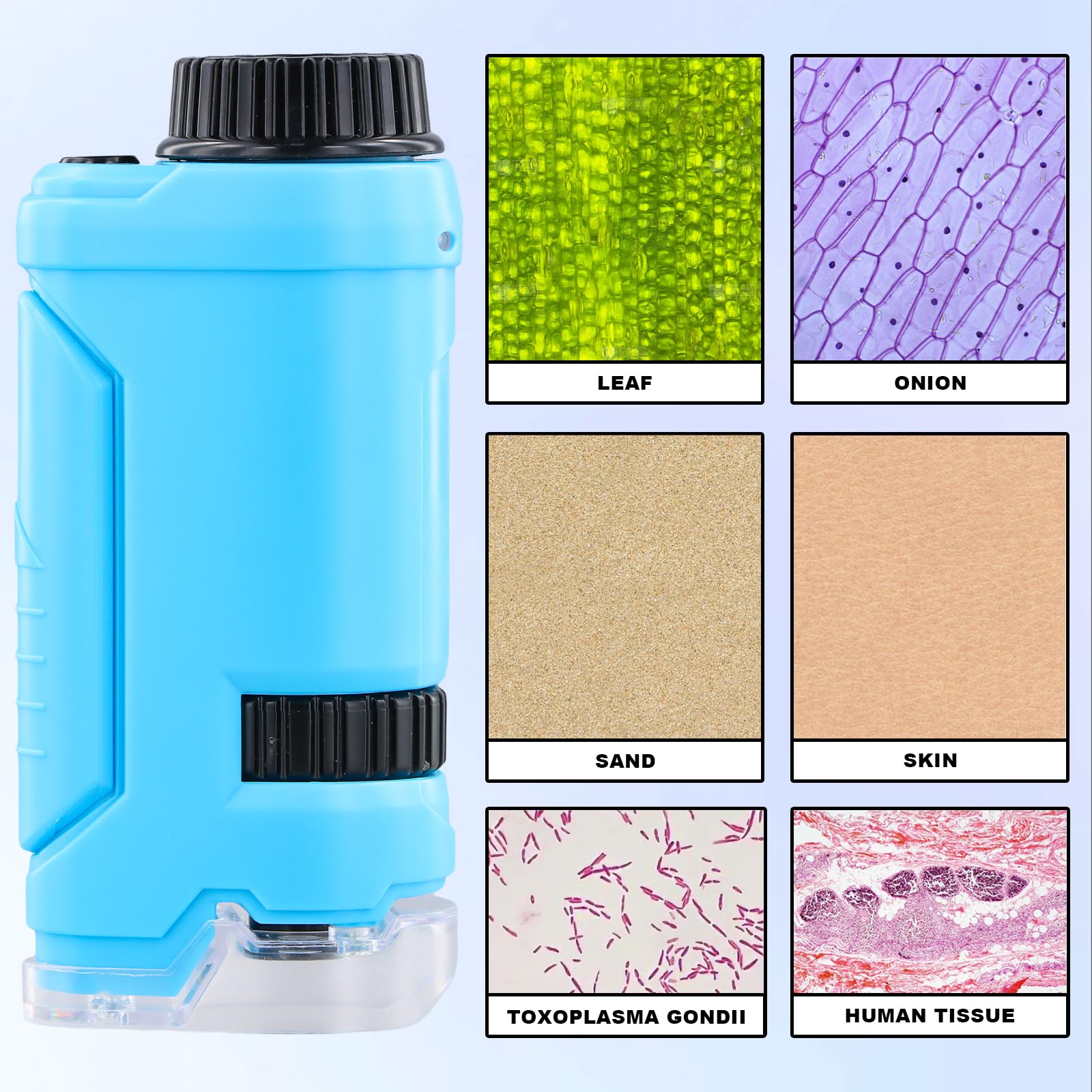 Mini Microscope de Poche Enfant, Microscope Portable 60x-120x avec Lumières LED pour l'Observation Microbiologique, l'Apprentissage Préscolaire et l'Étude (Bleu)