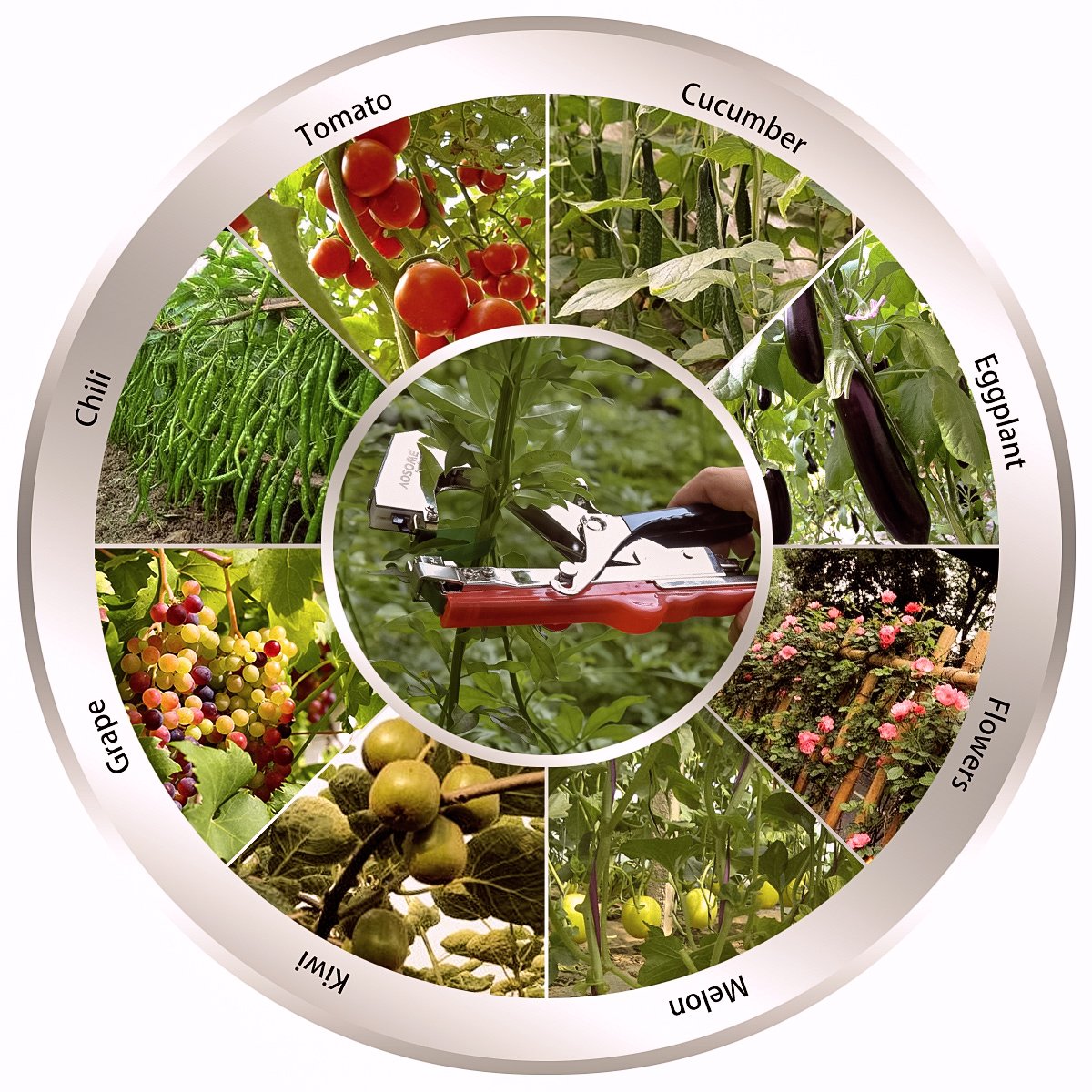AOSOME ASAP 1618 Legatrice per Piante - Attrezzo Tapener da Giardino per Vigneto e Rami (Pomodori, Melanzana, Fiori, Verdura), Strumento di Legare Manuale, Nastro Universale