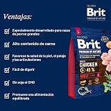 Ver la foto 2
