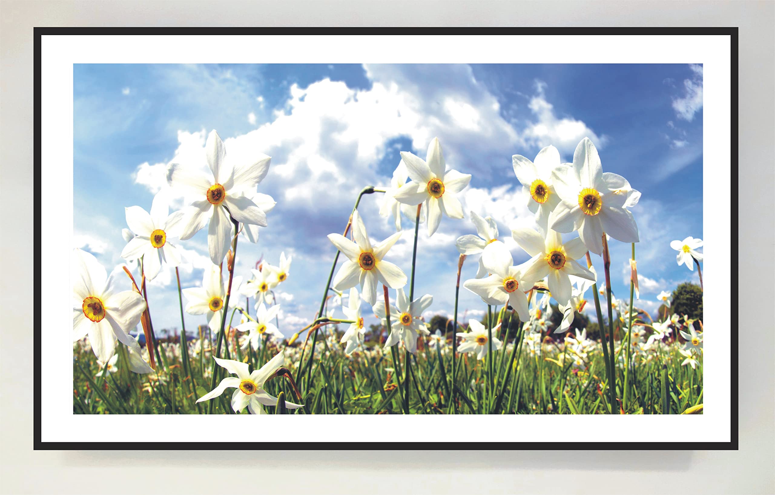 Cuadro con Marco Madera Lacada en Negro Iluminado con Luz Leds Flores: Campo de Tulipas