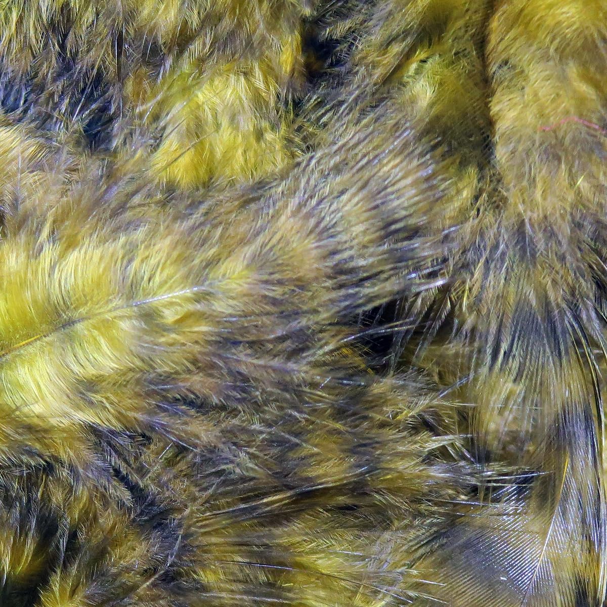Hareline Fly Tying Grizzly Marabou – Barred Marabou Feathers for Fly Tying Streamers, Woolly Buggers & Leeches (Sculpin Olive)
