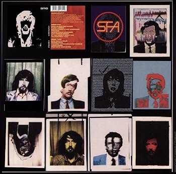 洋楽 Super Furry Animals/Fuzzy logic LP Super Furry Animals - Fuzzy Logic - Amazon.com Music