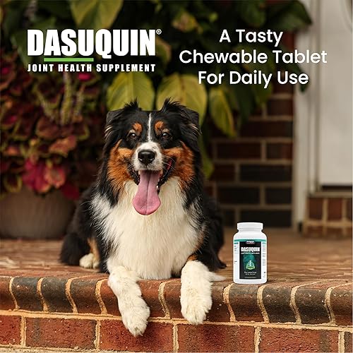 Vista 13 de Tabletas masticables para perros Nutramax Dasuquin con MSM