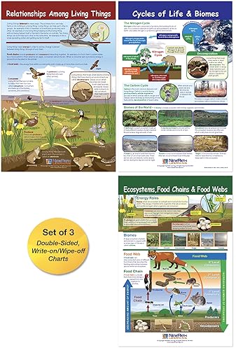 NewPath Learning Ecology - Juego de 3 tablas de anuncios, laminadas, de doble cara, a todo color, 12 x 18 pulgadas (94-7007)
