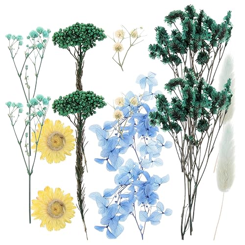 Decorative Pressed Flowers for Candle Making and Craft DIY Projects