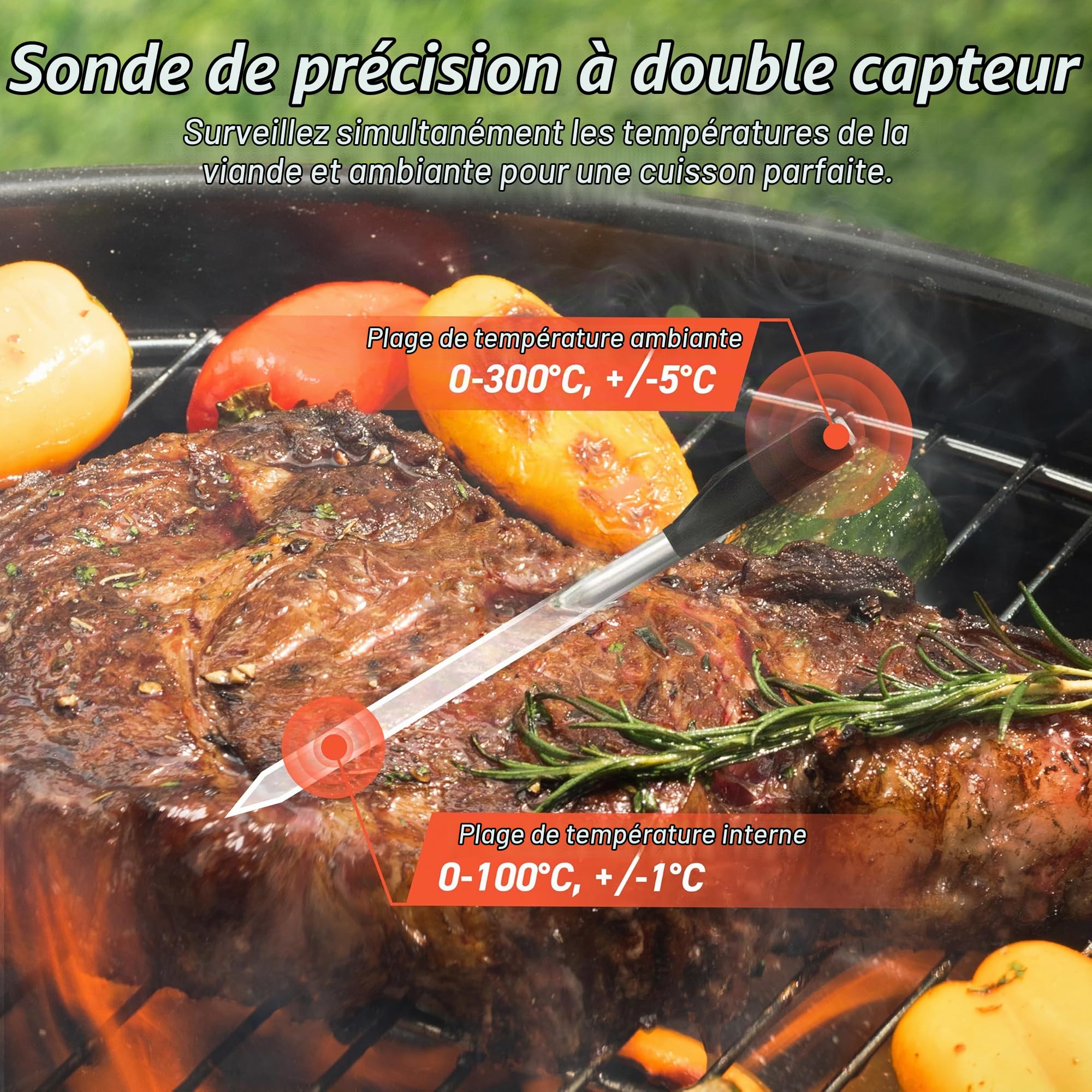 COSORI Le Premier Thermomètre à Viande Intelligent, un Thermomètre à Gril sans Fil avec une Portée de 50 Mètres