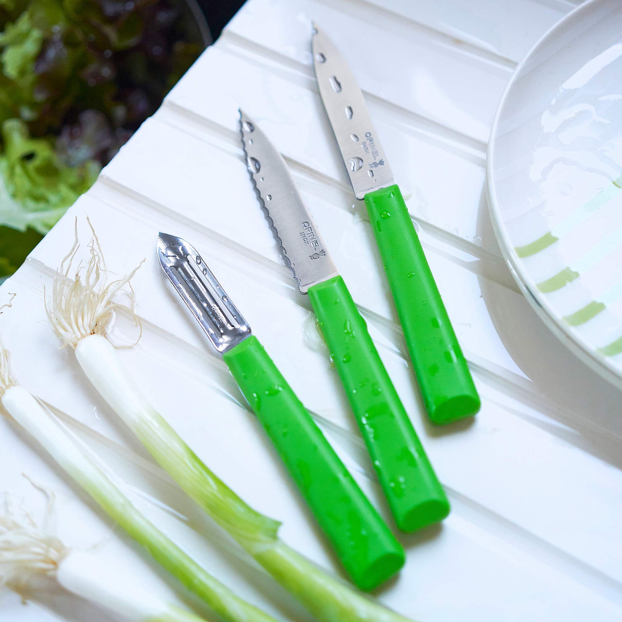 Opinel Essentiels Soyma Bıçağı