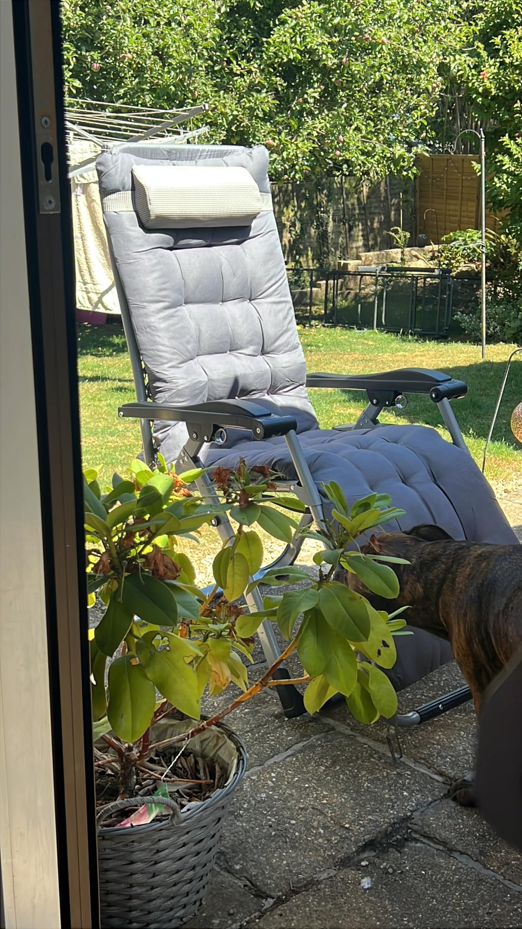 Customer photo